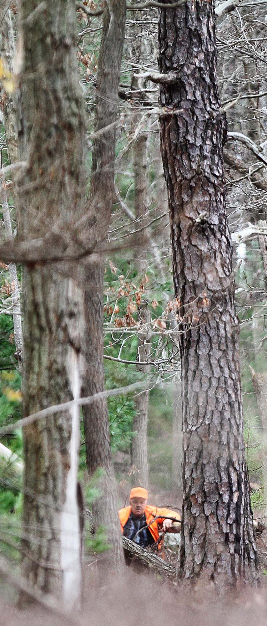 hunt game